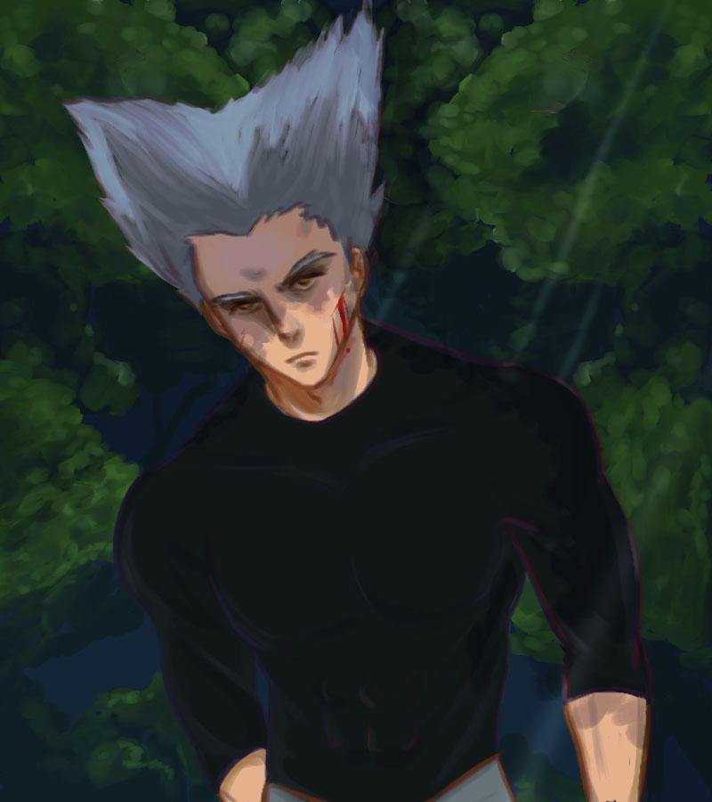 Garou R6 Garou by Kdpuff on DeviantArt