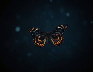 The Sigil of the M-6: The Butterfly Cluster
