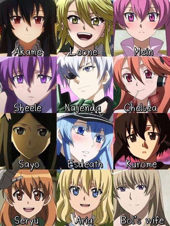 Anime Akame ga Kill! Leone  Arte de anime, Chicas anime, Personajes de  anime