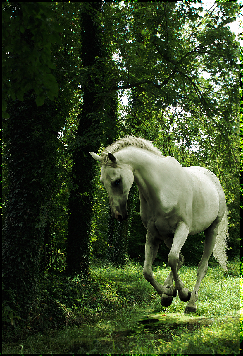 White Horse