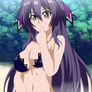 Inverse Tohka