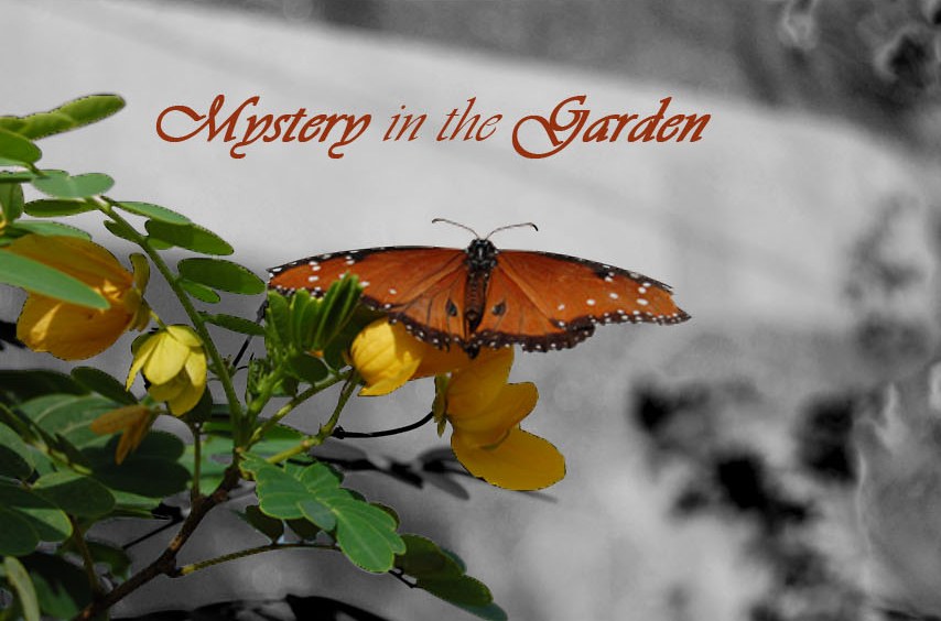 Mystery in the Garden