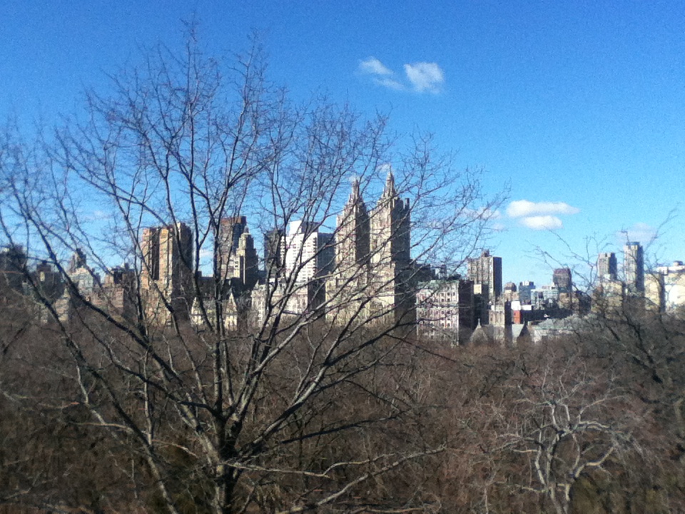City from Central Park 2
