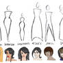 Character Body Shapes + Faces