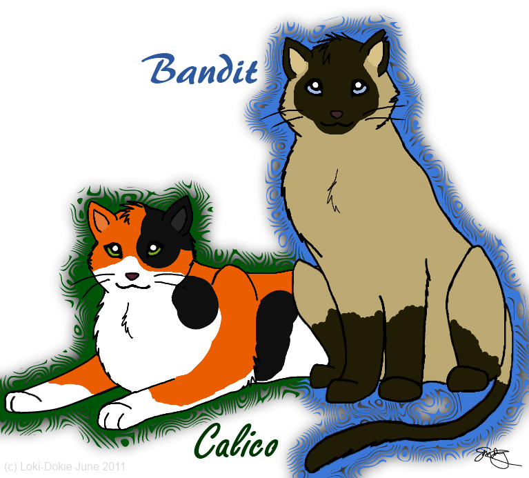 Calico and Bandit