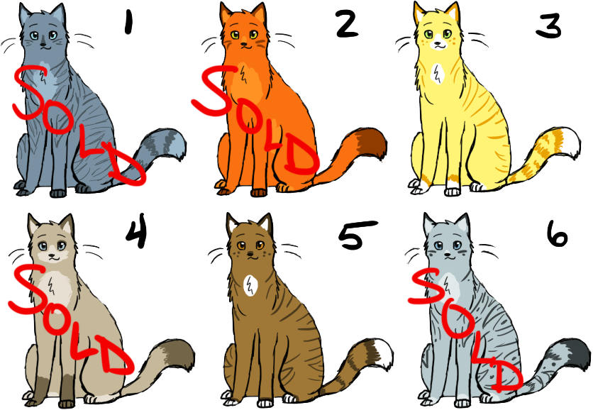 Cat Adoptables :OPEN: