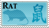 Rat