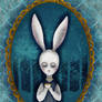 white rabbit