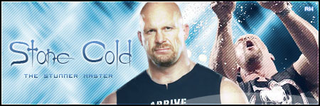 Stone Cold Steve Austin Sign