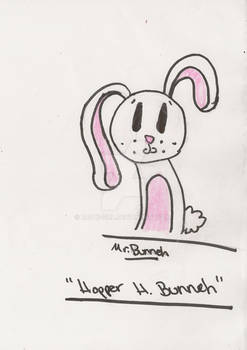 Mr. Bunneh