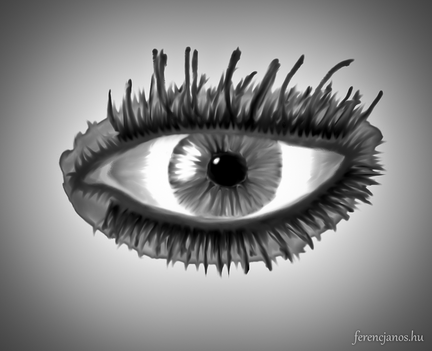 Eye