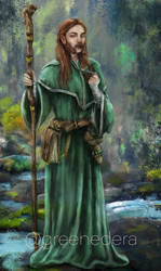 Lasdah, half-elf mage - Echoes of Krynn