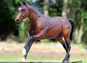 The Undefeated Barbaro by BamaBelle2012