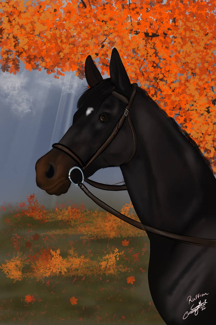 Ruffian by BamaBelle2012 on DeviantArt