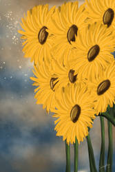 Morning Sunflowers 