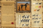 Saandur - Breed sheet by Efirende