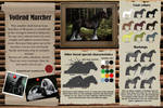 Votlend Marcher - Breed sheet by Efirende