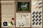 Elven Forest Lancer - Breed sheet by Efirende