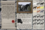 Ferghus mountain pony - Breed Sheet by Efirende