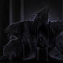 Throne Of Shadow
