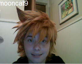 Roxas Wig Request