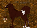 EDK's Nameless One 'Emanon' SOLD by EtherealDragunKennel