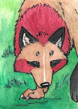ACEO Card _ Anethra