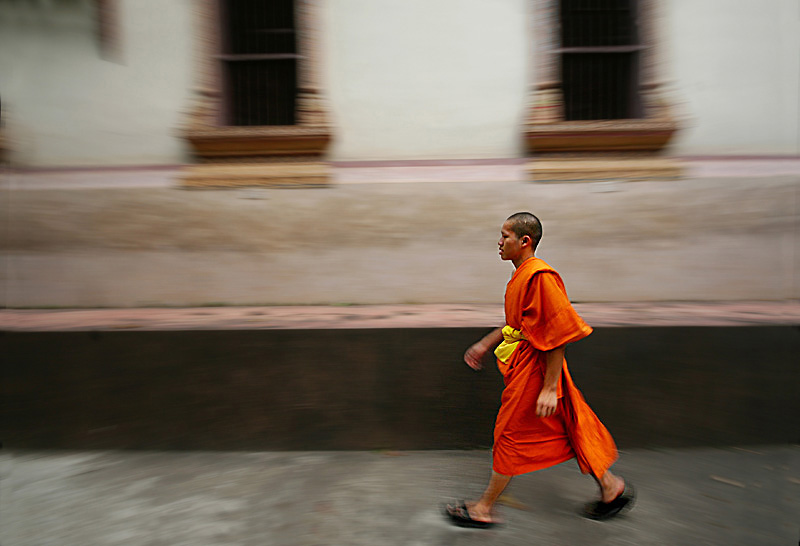 The Young Buddhist Monk