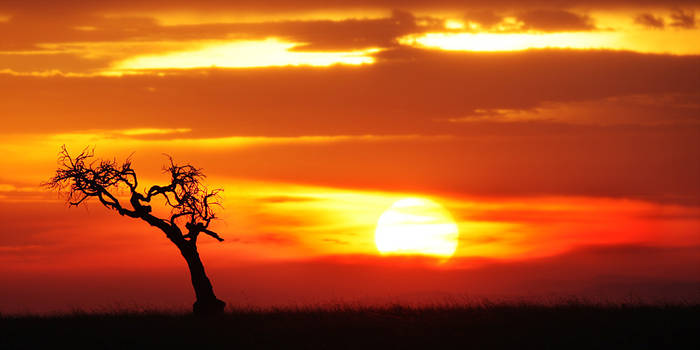 African Sunset ll