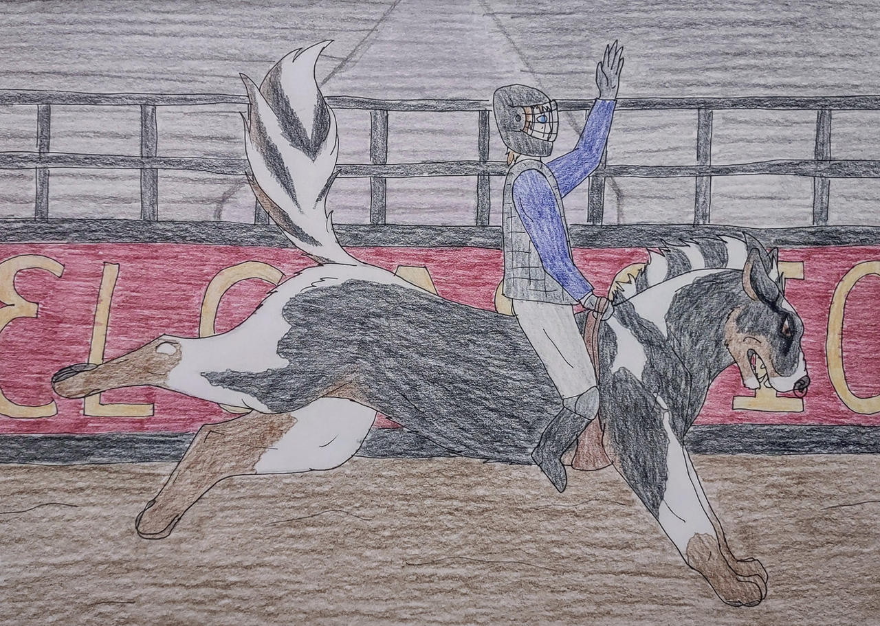 Djibb Rodeo Little djibb rodeo attempt 1 by Keledry1 on DeviantArt