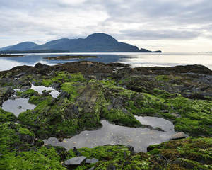 Tide pools