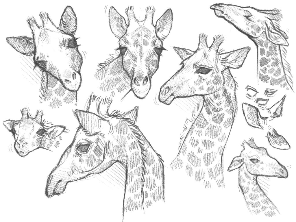 Spindly by Eternityspool on DeviantArt