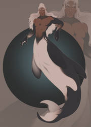 MerMay: Orca