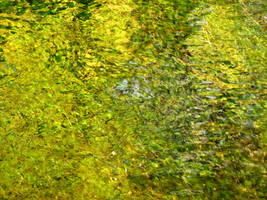 Monet's Green
