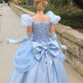 Cinderella back of the dress