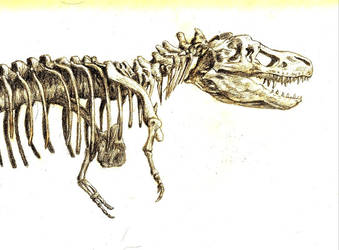 Gastonia T-Rex