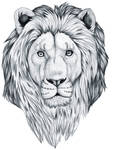 Inked Lion II by HDevers