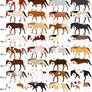 48 Horse Adoptables-closed