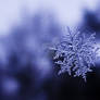 Snowflake II