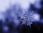 Snowflake II by Elenihrivesse