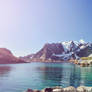 Roadtrip Lofoten I