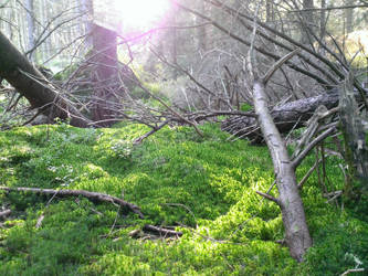 Naturpark Harz