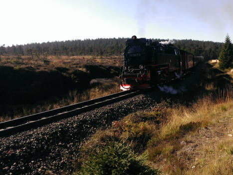 Naturpark Harz