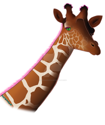 AndrewGiraffe