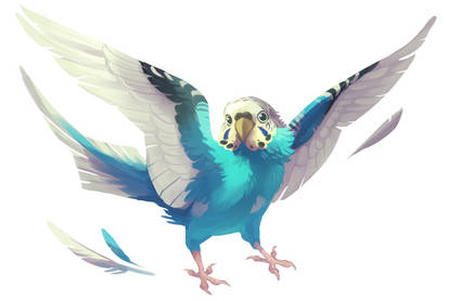 budgie