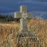 Cemetary Stock 5