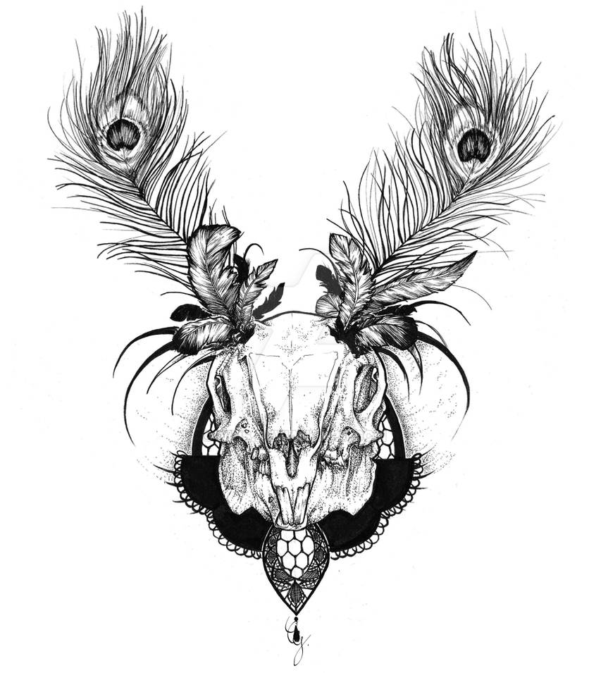 Rabbit's skull by Nihs on DeviantArt