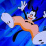 Falling Yakko