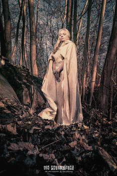 Queen in the woods