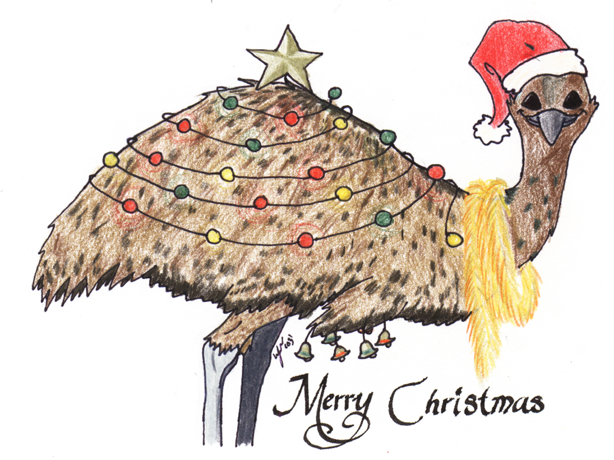 aussie-christmas-cards-emu-by-heather-briana-on-deviantart